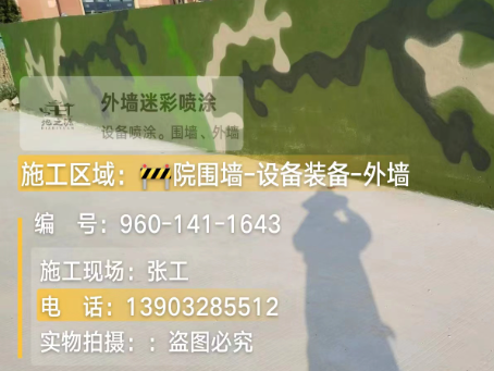 宁河 迷彩漆喷涂价格(按平方米计费)