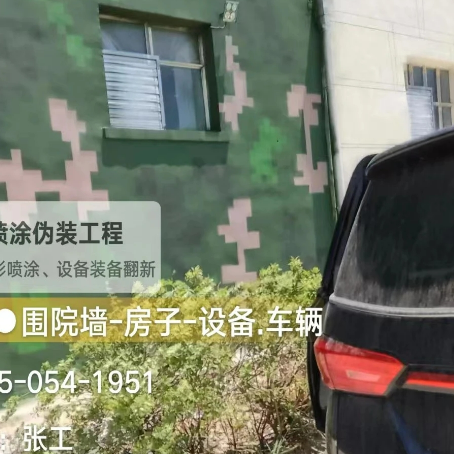 宁河数码迷彩漆施工